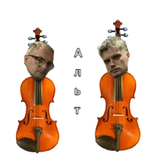 🎻