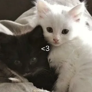 ❤️