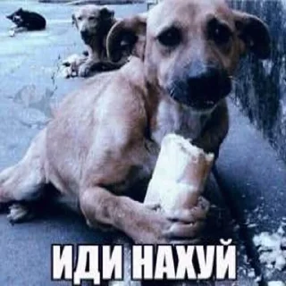 ✌
