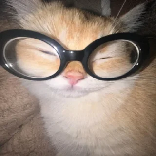 🤓