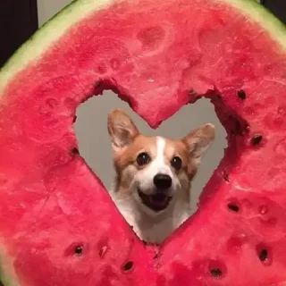 ❤️