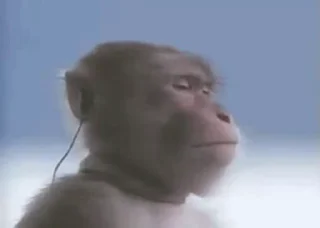 🎧