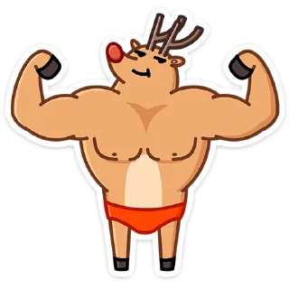 💪