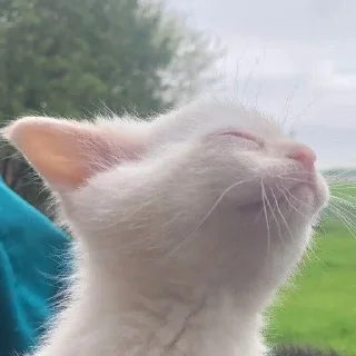 😌