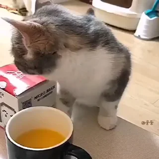 ☕️