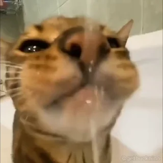 😛