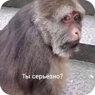 😒