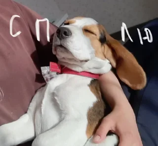 😴