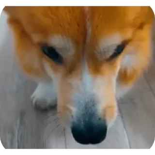 👍