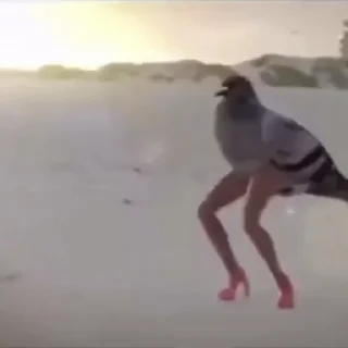🥳