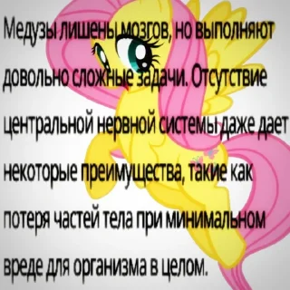 🐟
