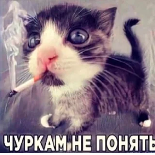 🚬