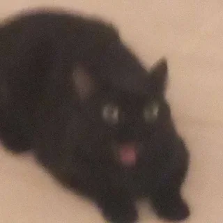 🤨