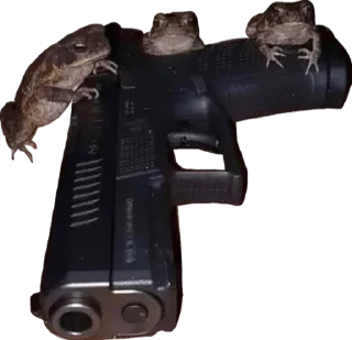 🐸