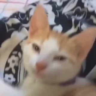 😴