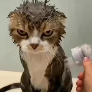 😠
