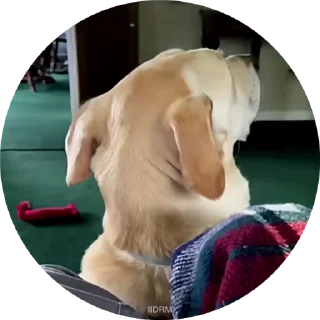 🙃