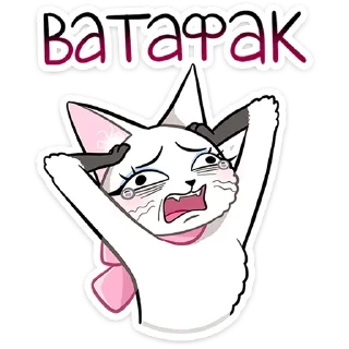 🐱
