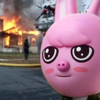 🐷