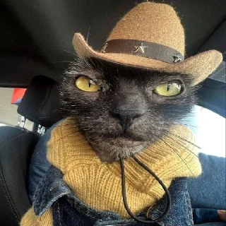 🤠