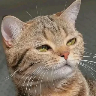 😒