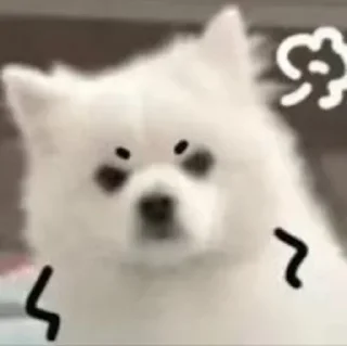 😤