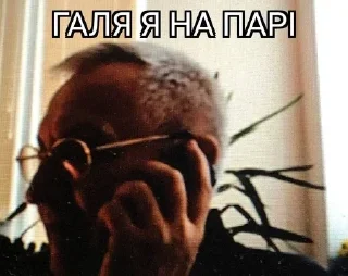 📲