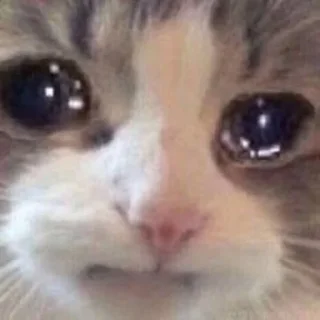 😭
