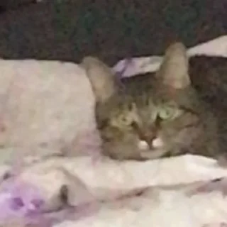 🔪