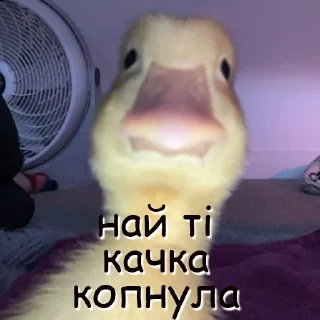 😡