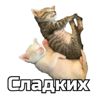 😴