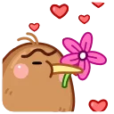 🌺