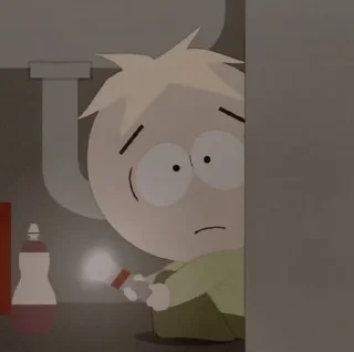 🌟