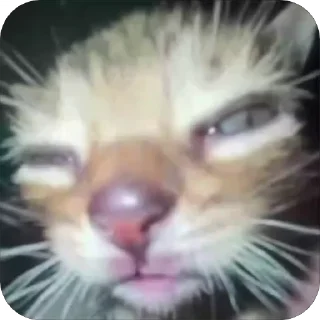😴