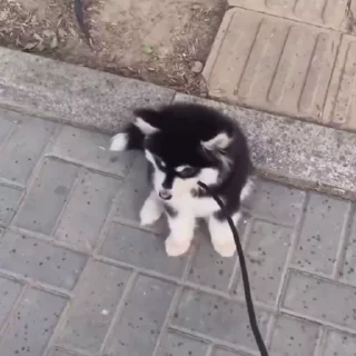 🤍