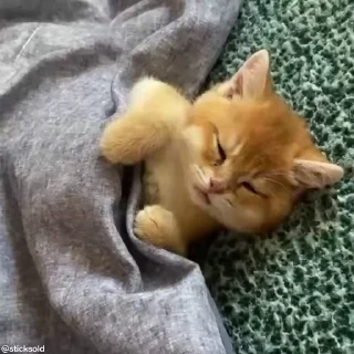 🛌