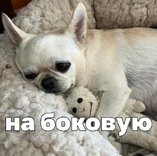 😴