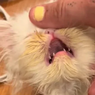 😱
