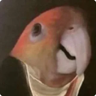 🤑