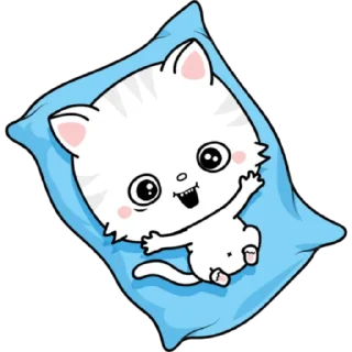😸