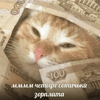 😺