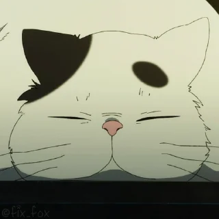 😸