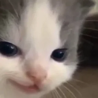 😏