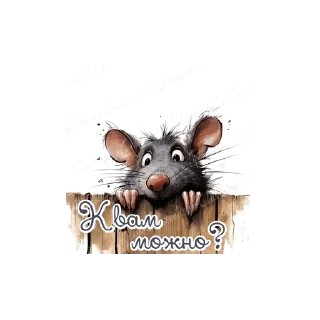 🐀