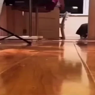 🤪