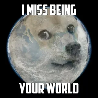 🌎