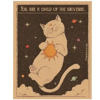 ✨