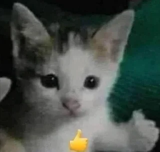👍