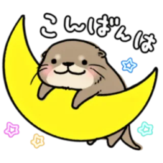 🌙
