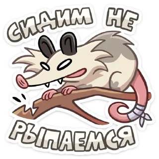 ⭐